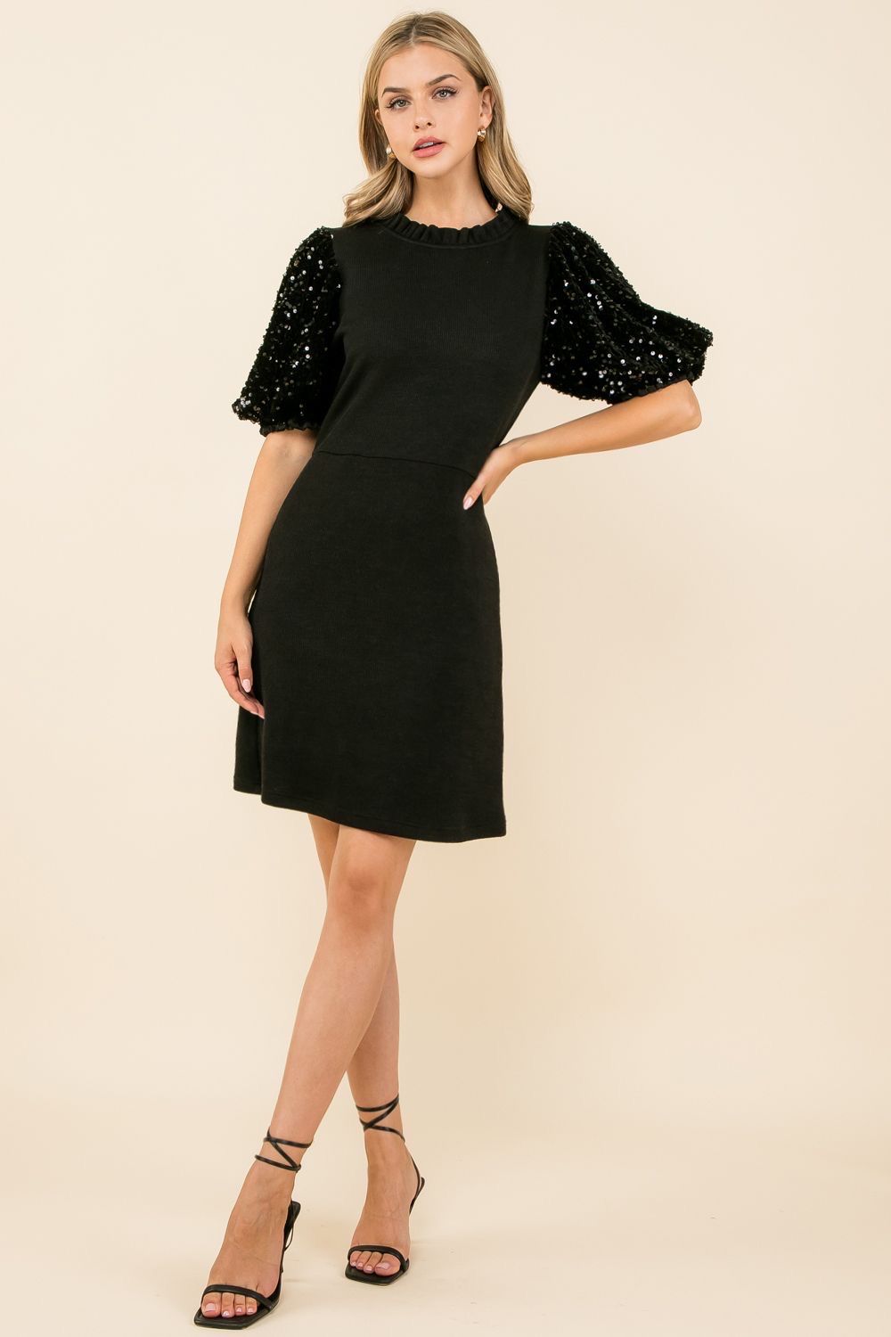 Sequin Sleeve Rib Knit Dress