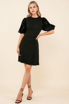 Sequin Sleeve Rib Knit Dress