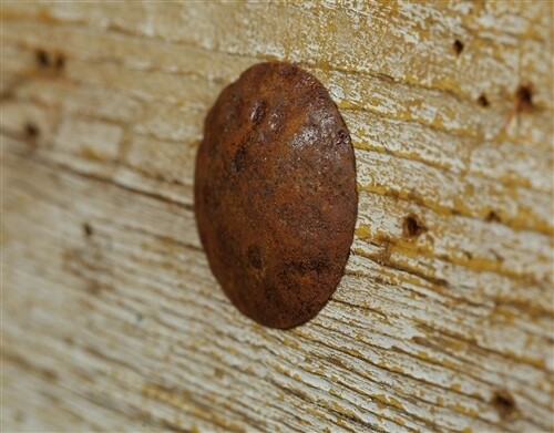 1.50 inch Iron Hammered Clavos-Clavo-Hardware-(10)
