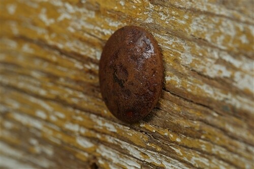 1 inch Iron Hammered Clavos-Clavo-Hardware-(10)