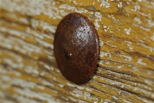 1.25 inch Iron Hammered Clavos-Clavo-Hardware-(10)