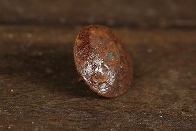 Iron  Hammered Hardware Clavos-1 1/2 Nails-1.50 inch-Steel-Spanish-Rustic-Clavo-Door-Decorative Nail heads-1.50 inch-10 PCS Iron  Hammered Hardware Clavos-1 1/2 Nails-1.50 inch-Steel-Spanish-Rustic-Clavo-Door-Decorative Nail heads-1.50 inch-10 PCS