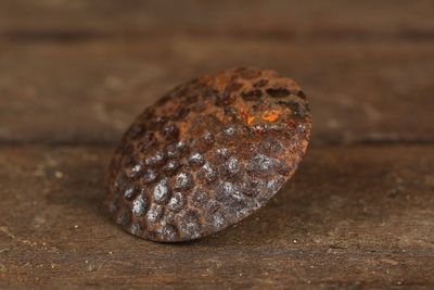 Iron Door Hammered Hardware Clavos- Nails-3 in.-Rustic-Lot of 10-Primitive-Clavo-Decorative Nailheads