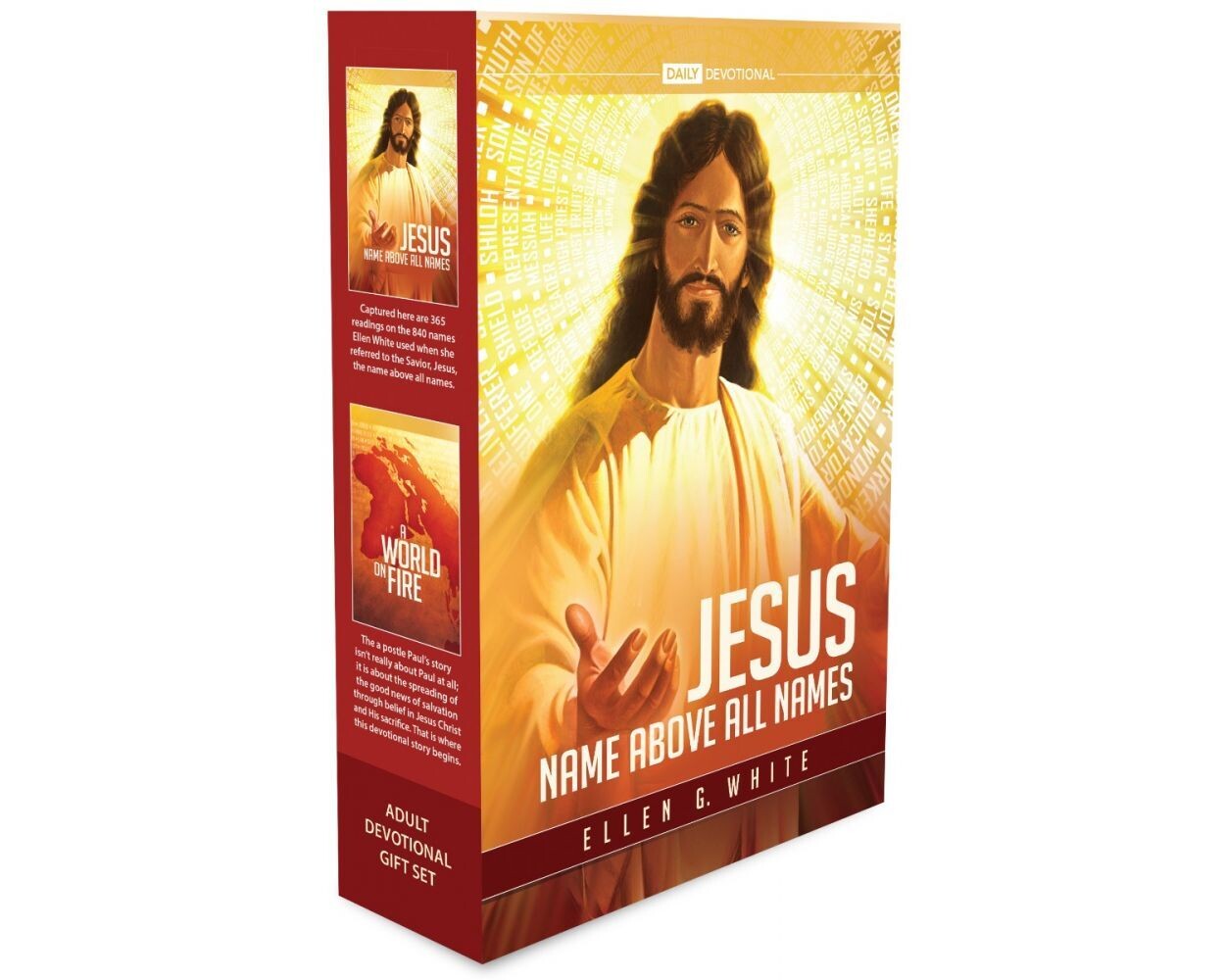 Adult Daily Devotional-Book Set 2021 - Orange/Red (D6)