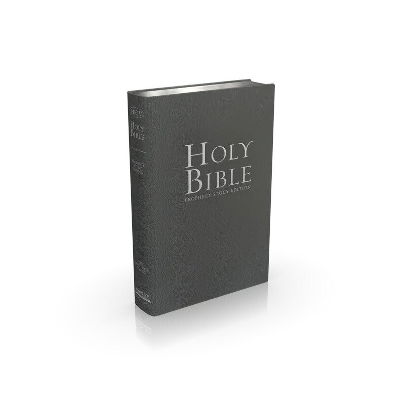 Holy Bible Gray Leather (B2)