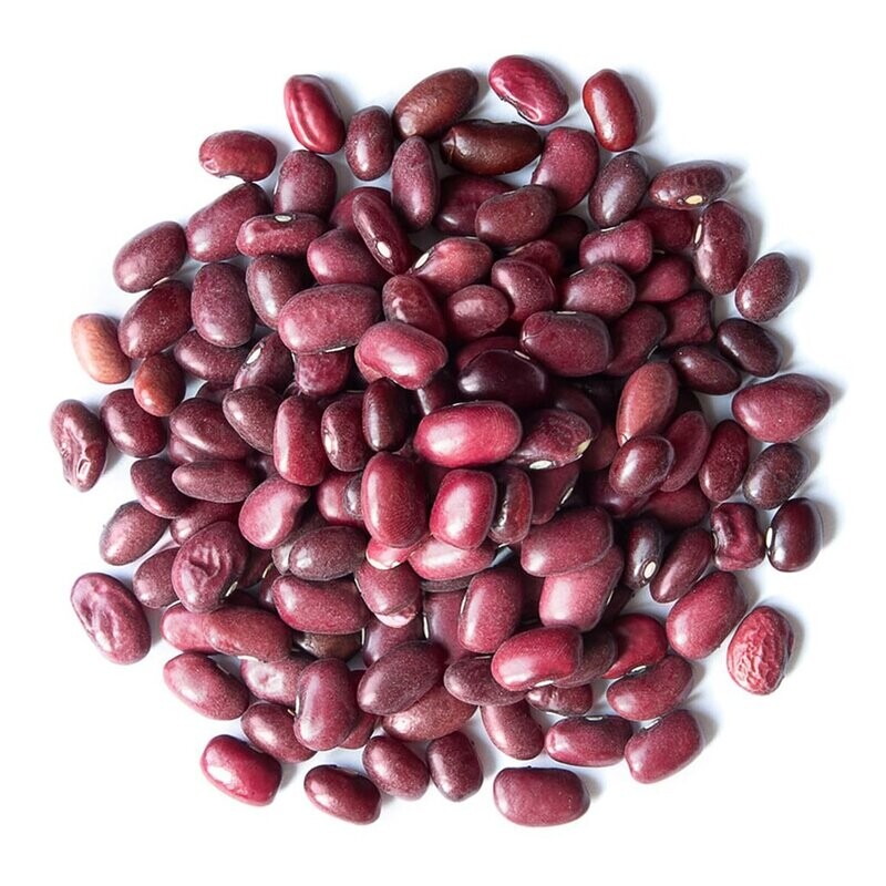 111 Small Red Beans Organic - 1 lb. (F8)