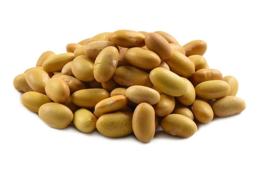 125 Mayocoba Beans - 1 lb. (I4)
