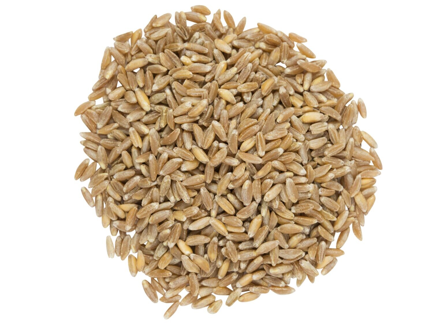 350 Emmer (Farro) Grain Organic - 1 lb. (FF1)