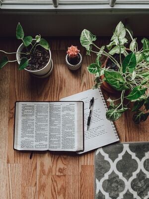 Bibles
