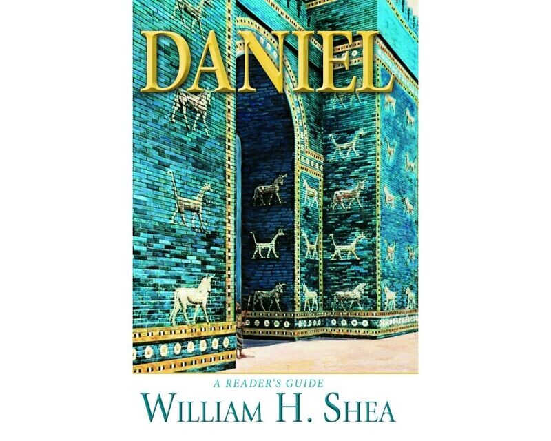 Daniel - Shea (B8)