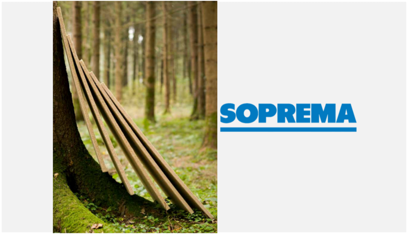 Laine de bois