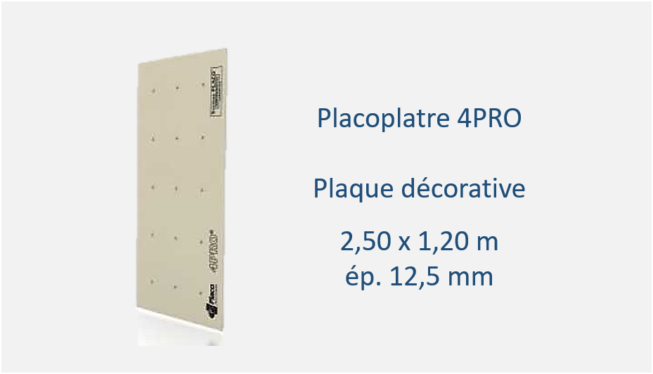 Placoplatre 4PRO