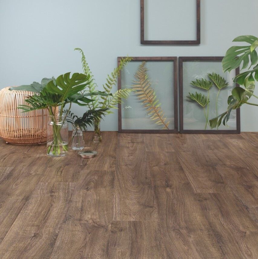MEDIUM PLANKS