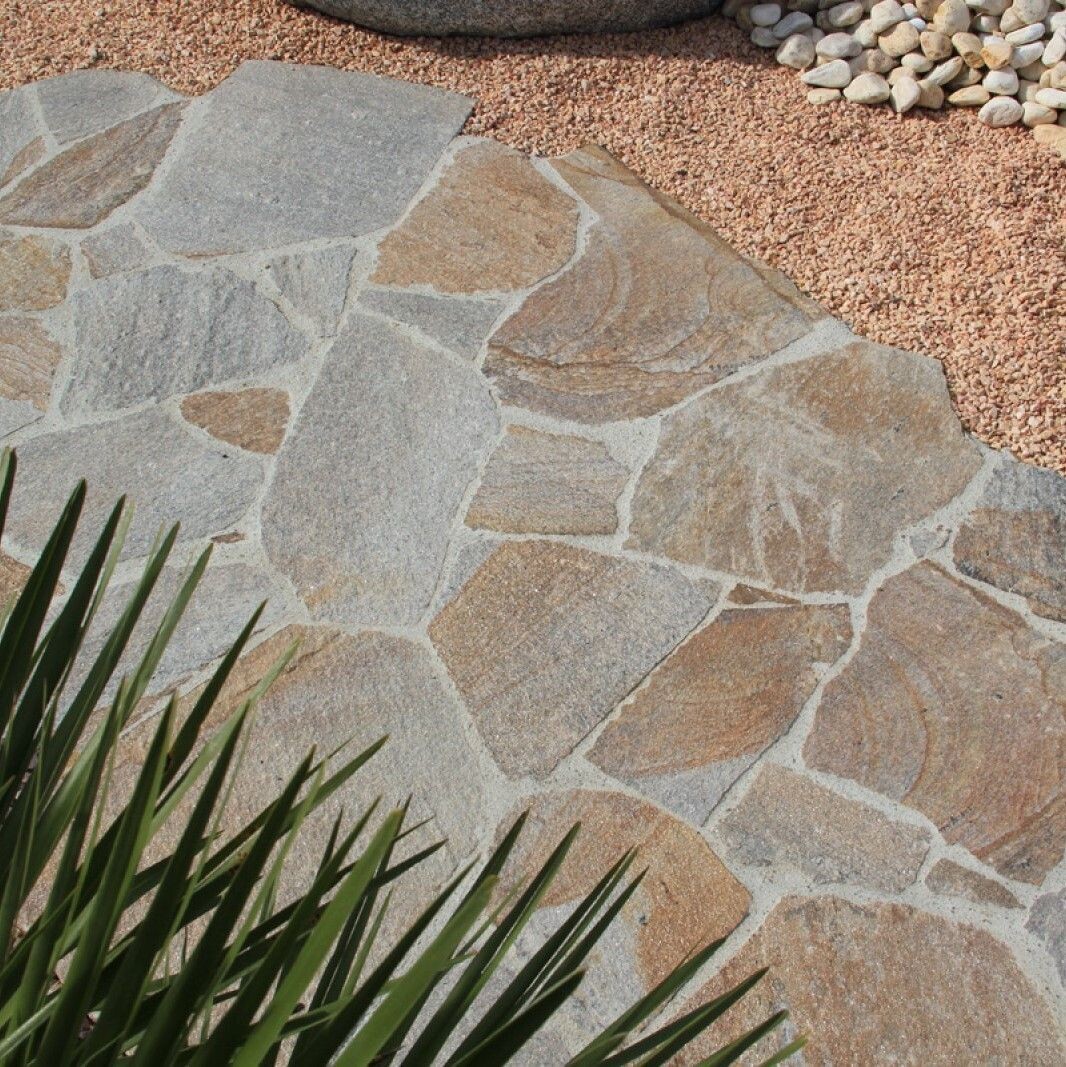 Opus Gneiss