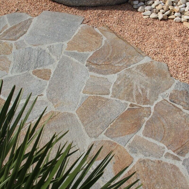 Opus Gneiss