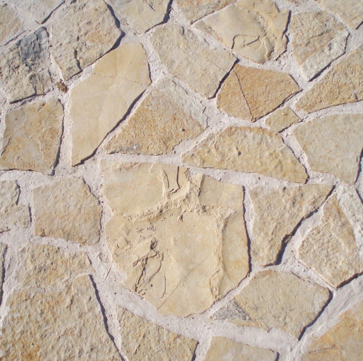 Opus Calcaire