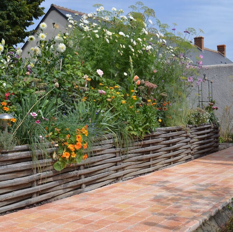 Carostyle