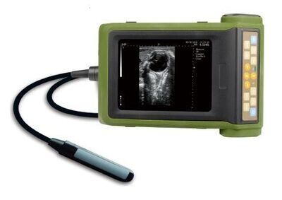 Breedertec Cow ultrasound scanner