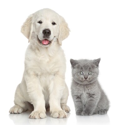 Breeder