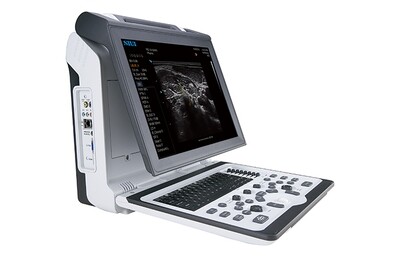 Elevating Animal Healthcare: The Profound Benefits of Veterinarians Learning to Perform Heart Scans Using Ultrasound