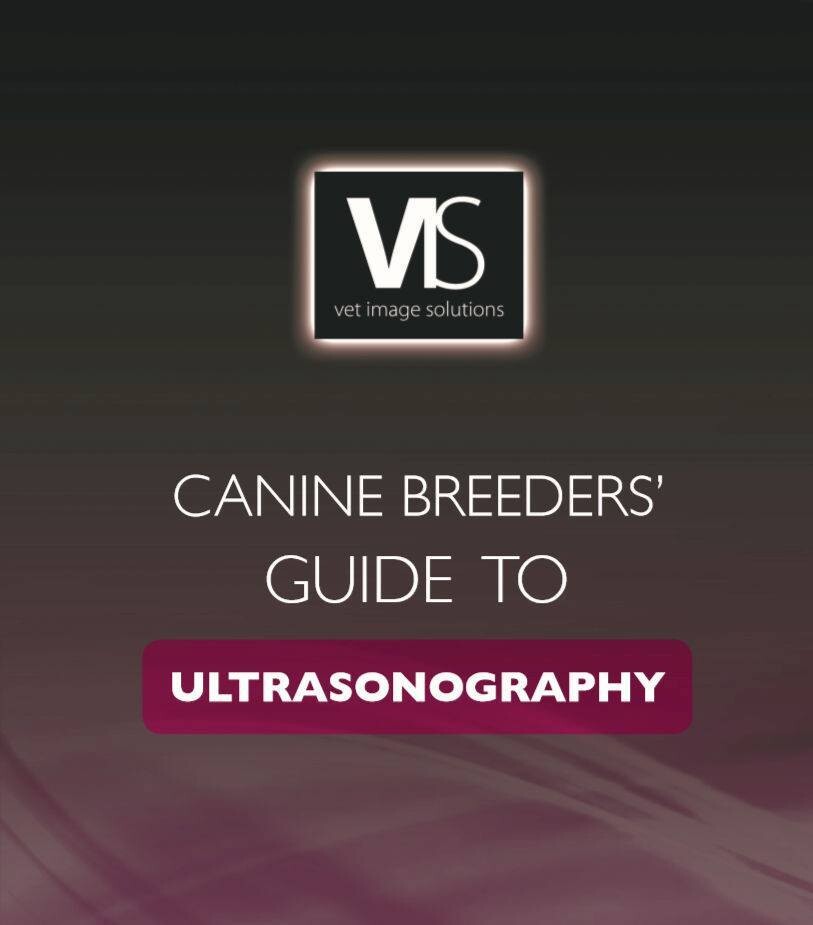 Professional Dog Breeder Ultrasound Scanning Course