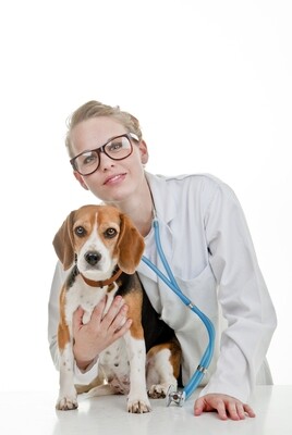 Veterinary