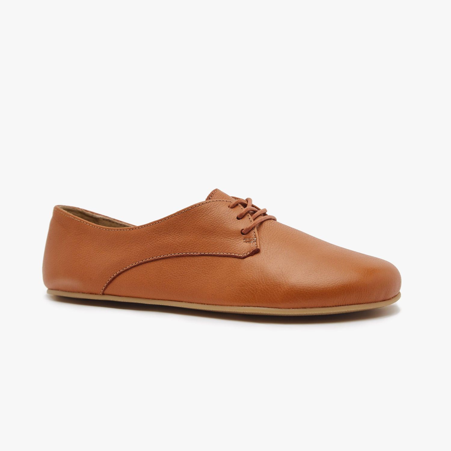 ORIGO The New Derby Camel