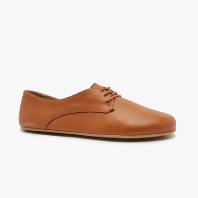 ORIGO The New Derby Camel