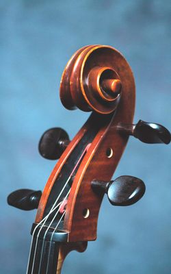 One-Day Cello Workshop