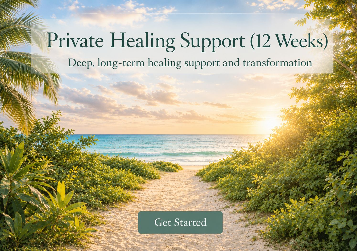 The VIP Detox Package (12 weeks)