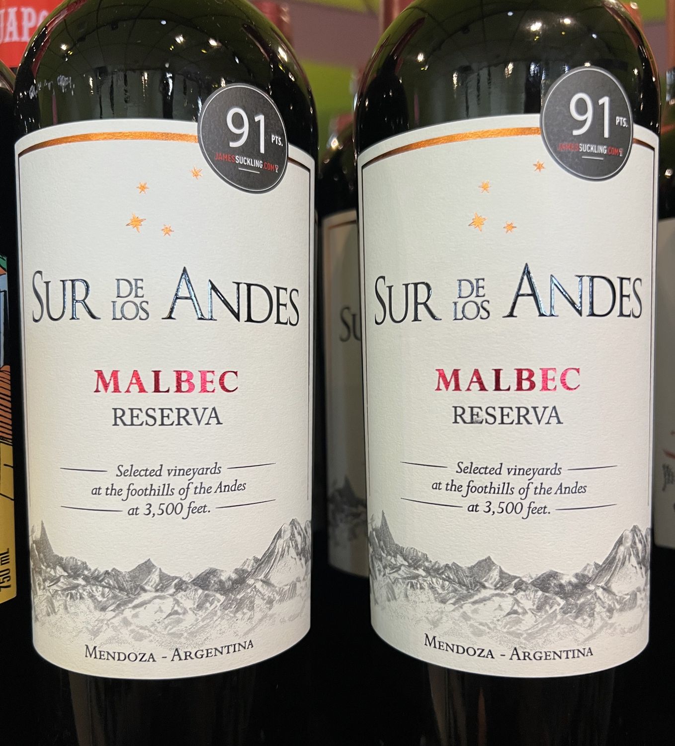 SUR DE LOS ANDES MALBEC 750 ML