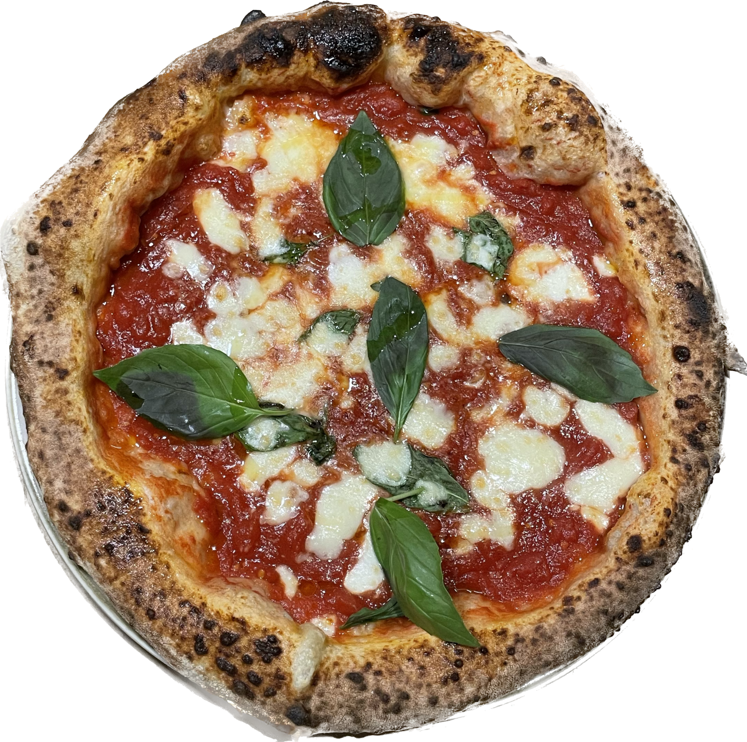Margherita