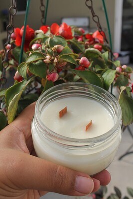 Citronella &amp; Vanilla