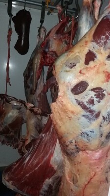 Vorbestellung 1/4 oder 1/2 Rind