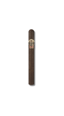 Ashton VSG Sorcerer 24