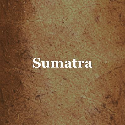 Sumatra