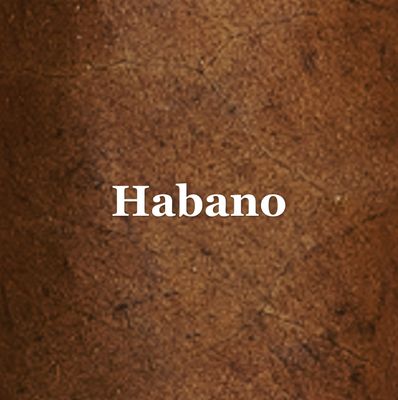Habano