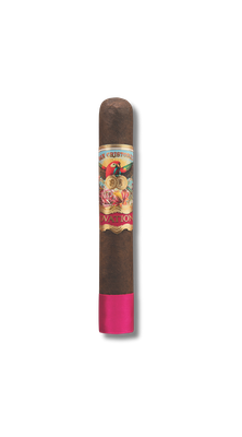San Cristobal Ovation Opulence (22)