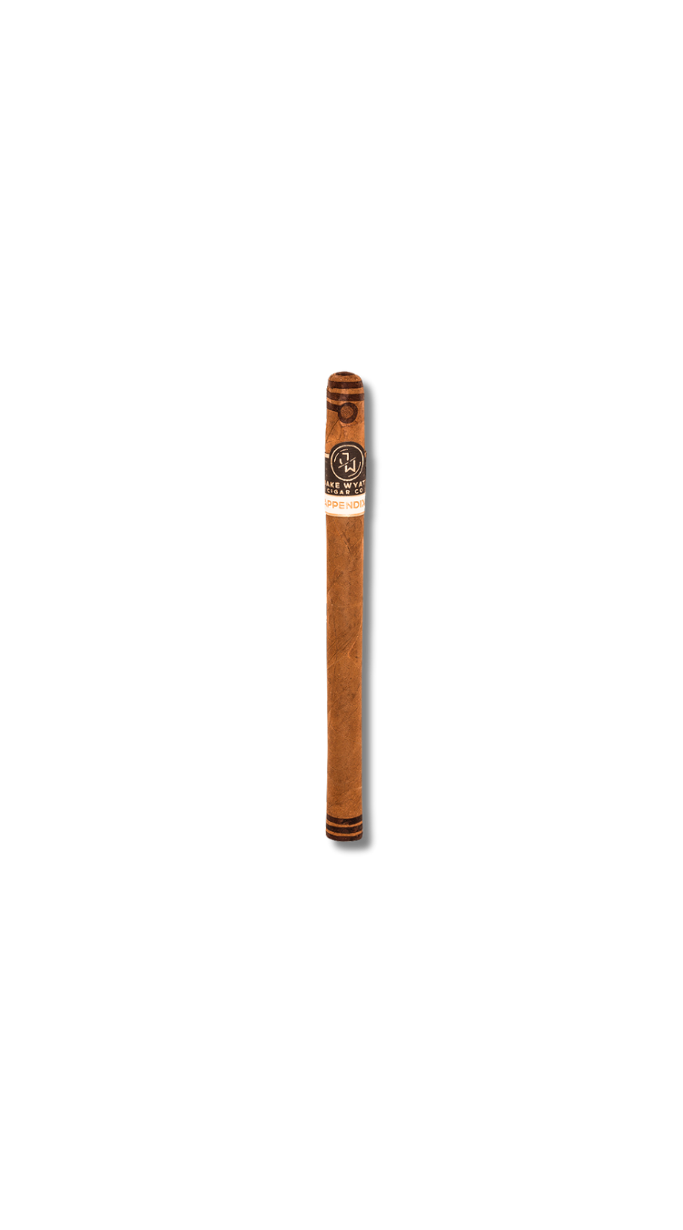 Jake Wyatt Appendix II - Lancero (22)