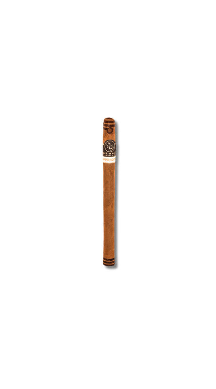 Jake Wyatt Appendix II - Lancero (22)