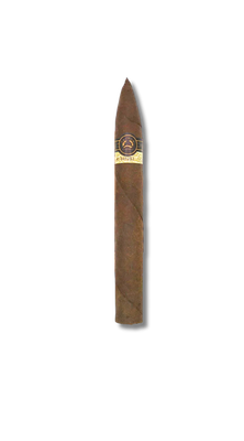Padron Black Natural - PB97 Torpedo (10)