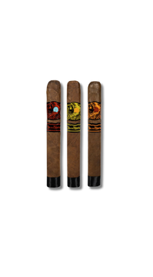 Deadwood LE Sweet Jane 2025 Maduro Dios De Los Muertos (20)