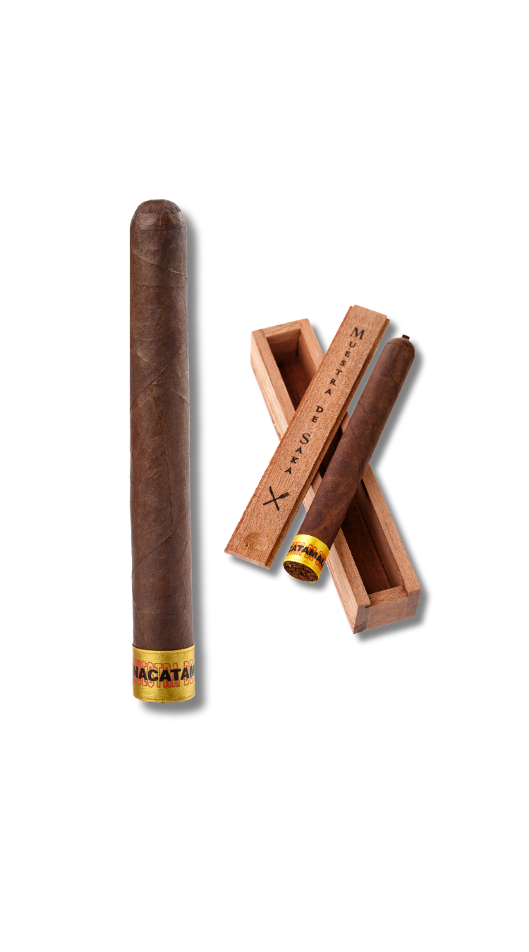 Dunbarton Muestra de Saka Nacatamale (7)