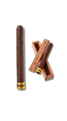 Dunbarton Muestra de Saka Nacatamale (7)