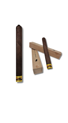 Dunbarton Muestra de Saka The Bewitched (7)