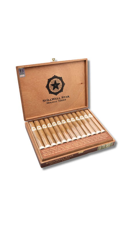 Dunbarton Stillwell Star Holiday 2024 (13)