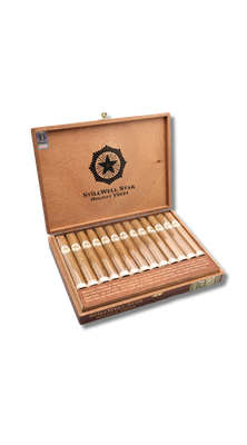 Dunbarton Stillwell Star Holiday 2024 (13)