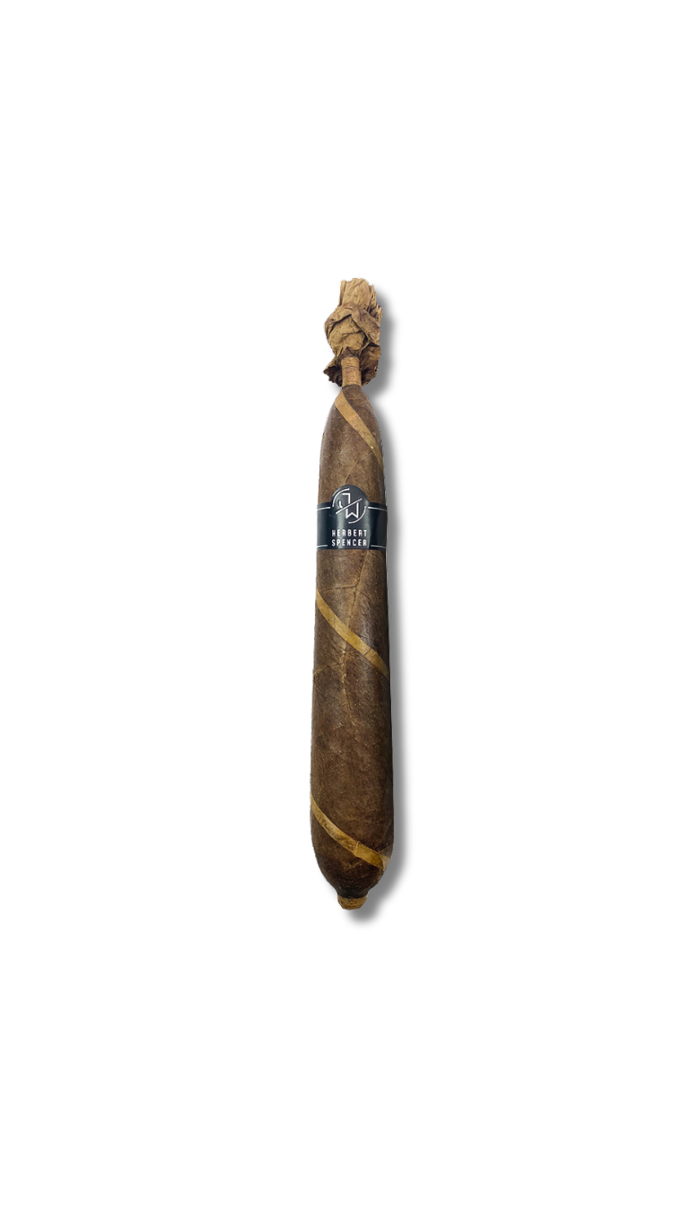 Jake Wyatt Herbert Spencer LE - Figurado (10)