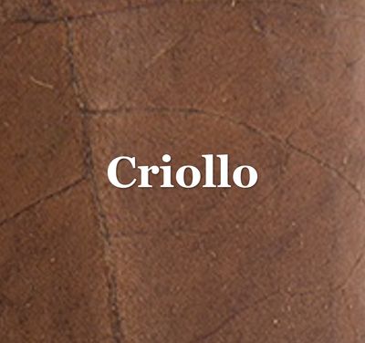 Criollo
