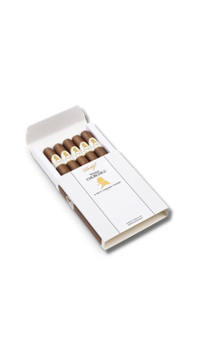 Davidoff Winston Churchill - Petit Corona (5 pack)